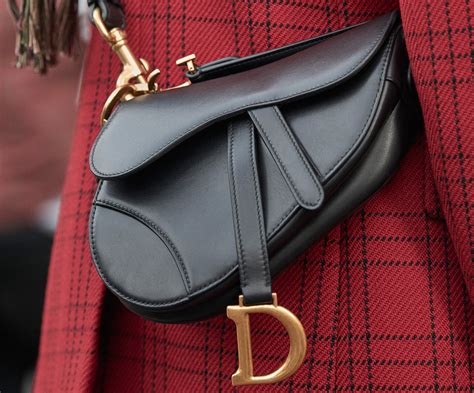 is the dior saddle bag worth it